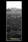 scan_BW_22