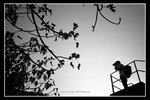 scan_BW_30