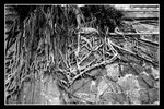 0807F_1+Scan-081223-0013