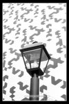 0807_1+Scan-081223-0003