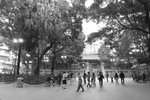 100_5243_bw