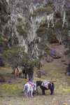 IMG_4308