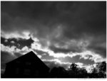 
herbst8