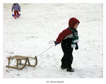 ski10