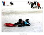 ski8