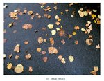 autumn5