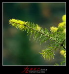F1660012a