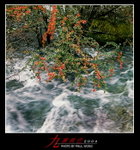 F1710017a