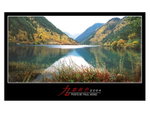 F1740018a