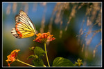 �u�V������