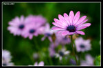 IMG_1914