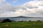 DSC_3725