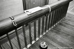 We were right by the Yoshida/Porter/Beams T at Daikanyama.  This is for people to lock their dogs I guess?
