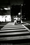 a blurry night snap.

