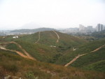 IMG_2580
