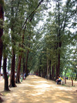 171-7176_IMG