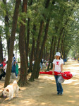 171-7195_IMG