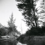 File1605s