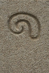 IMG_6037s