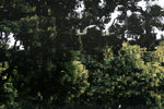IMG_6047s