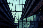 IMG_6041s