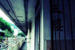 IMG_6049s