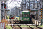 IMG_2236s