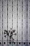 IMG_4662s