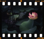_MG_3682s