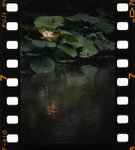 _MG_3686s