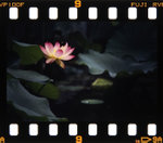 _MG_3688s