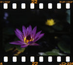 _MG_3701s