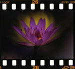 _MG_3705s