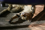 IMG_3682s