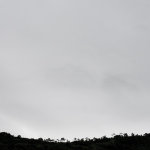 IMG_4749es