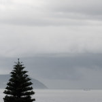 IMG_4765es