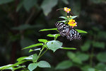 IMG_7210es