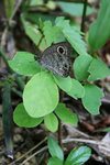 IMG_7216es