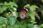 IMG_7220es