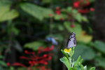 IMG_7244es