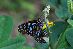 IMG_7259es