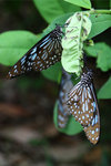 IMG_7303es