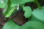 IMG_7309es