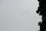 IMG_7330es