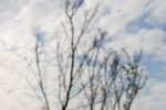 IMG_1052s