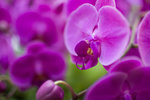 IMG_1149s