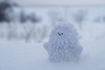 IMG_2524s