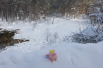 IMG_4181s