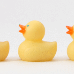 080413duck_400