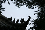 IMG_09776s